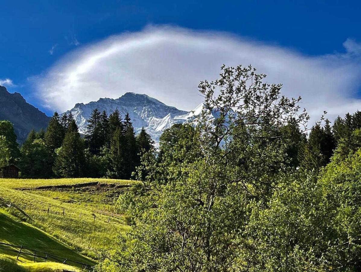 Chalet Viola Wengen Exterior foto