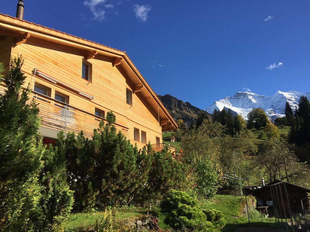 Chalet Viola Wengen Exterior foto